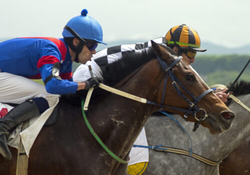 Horse race for the prize Sravnenia in Pyatigorsk,Caucasus,Russia.